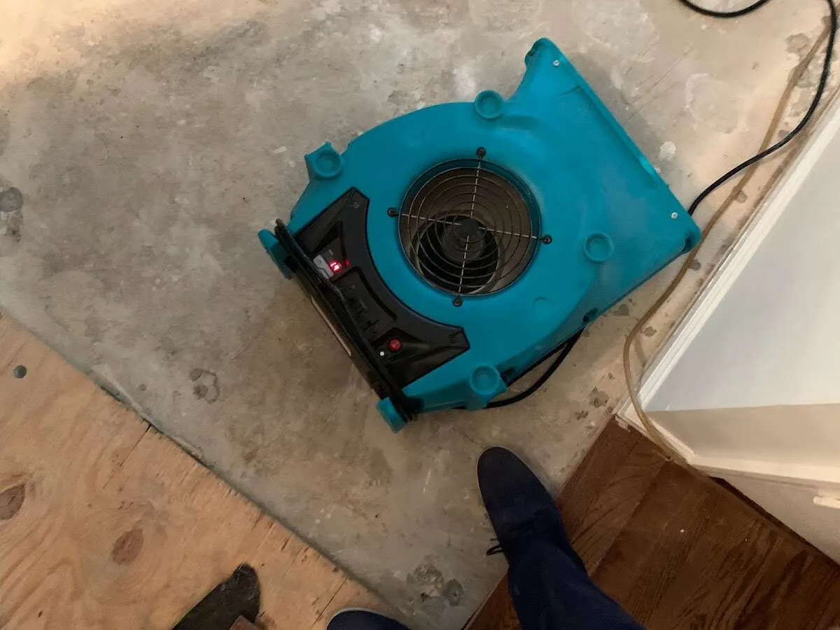 Air mover drying subfloor during Leak Detection & Repair in Gulf Hills
